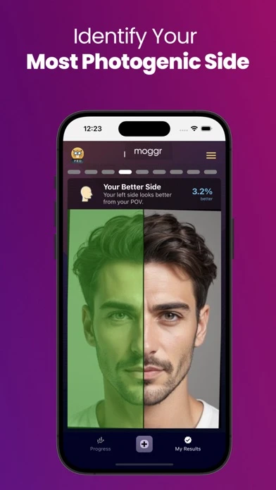 Moggr Premium Photogenic Side