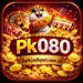 PK080 Game
