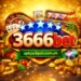 3666bet