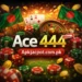 ACE 444 BD