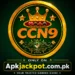 CCN9 Game