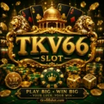 TKV66