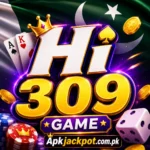 HI309 Game