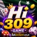 HI309 Game