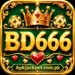 BD666